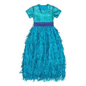 Hailey Blue Long Dress