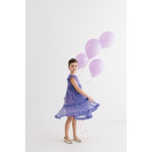 Sofia Purple Tulle Dress
