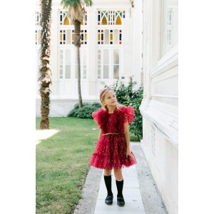Chicca Bordo Elbise