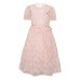 Gina Pembe Elbise